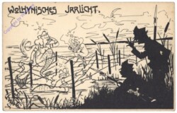 Nr 21 - Wolhynisches Irrlicht