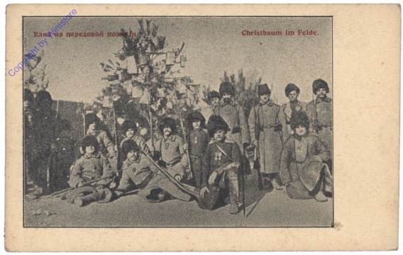 ak143967 Christbaum im Felde