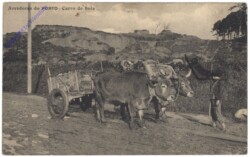 ak144240 Porto, Carro de bois