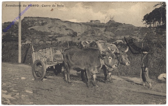 ak144240 Porto, Carro de bois