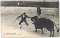 Corrida de toros, Pasando de muleta