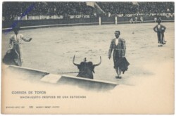 Corrida de toros, Machaquito despues de una estocada