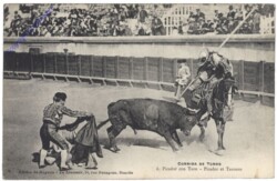 Corrida de toros, Picador con Toro