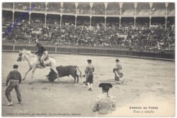 Corrida de toros, Toro y caballo