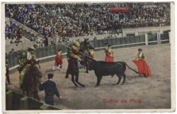 Suerte de Pica