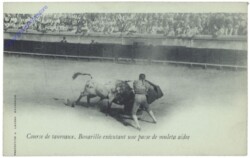 Course de taureaux. Bonarillo executant une passe de muleta aidee