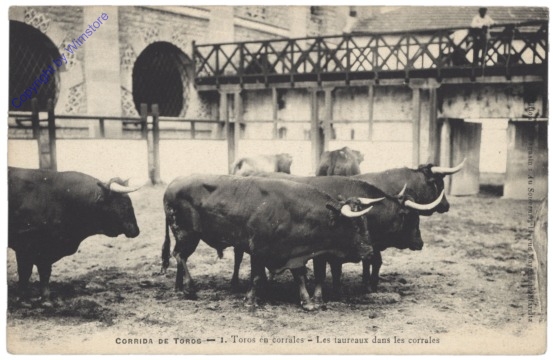 Corrida de toros, Toros en corrales