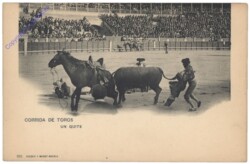 Corrida de toros, Un Quite