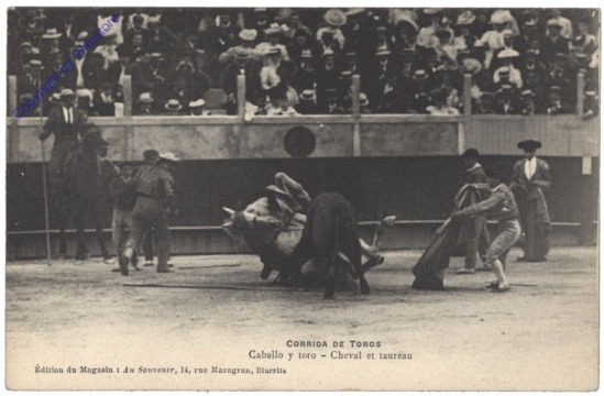 Corrida de toros, Caballo y toro - Cheval et taureau