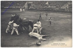 Corrida de toros, Enlevement des chevaux tues