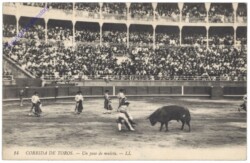 Corrida de toros, Un pase de muleta