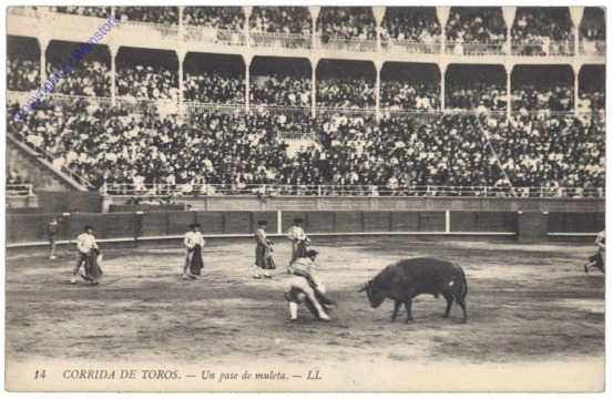 Corrida de toros, Un pase de muleta