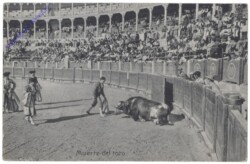 Muerte del toro