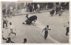 Stier auf der Strasse