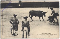 Corrida de toros, Enlevement de la divisa