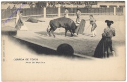 Corrida de toros, Pase de muleta