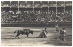 Corrida de toros, Suerte de Capa
