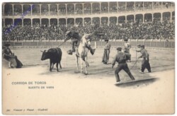Corrida de toros, Suerte de Vara