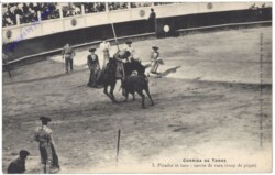 Corrida de toros, Picador et toro