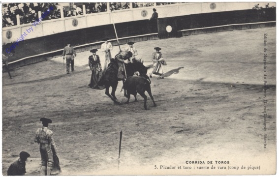 Corrida de toros, Picador et toro