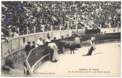 Corrida de toros, La estocada