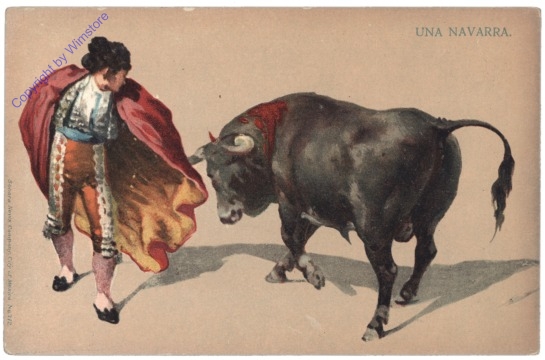 Una navarra