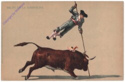 Salto de la garrocha