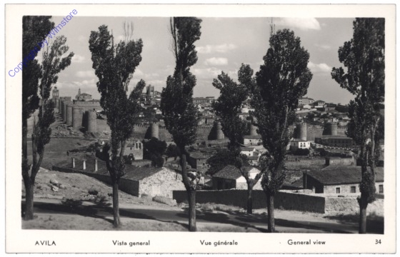 Avila, Vista General