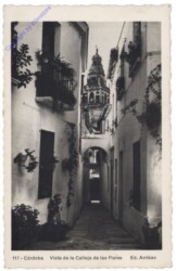 ak144466 Cordoba, Vista de la Calleja de las Flores