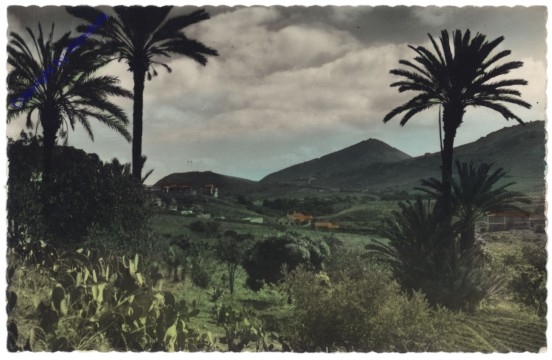 Las Palmas de Gran Canaria, Monte Santa Brigida