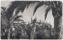 ak144676 Mallorca, Palma, La Catedral desde Sagrera