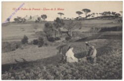 Premia de Dalt, San Pedro de Premia, Llano de S. Mateo