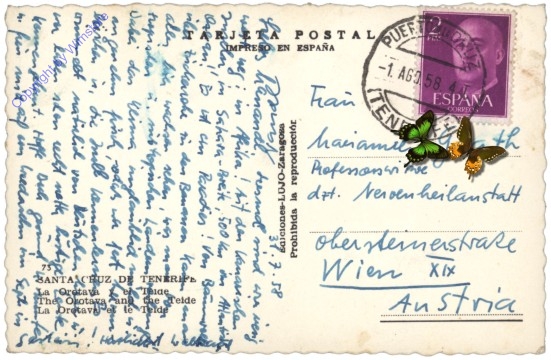 Santa Cruz de Tenerife, Ansicht