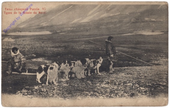 Allgemein, Types de la Russie du Nord