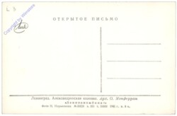 St. Petersburg, Ansicht