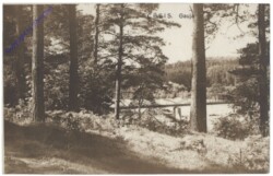 ak145362 Cesis (Wenden), Gauja