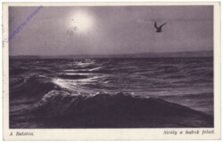 Balatonmariafürdö, Der Plattensee, Möwe über den Wellen