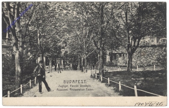 Budapest, Auwinkel, Restauration Fasan