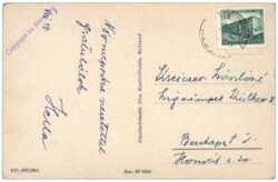 ak145792a Bükkszentkereszt, Fenyvesreszlet