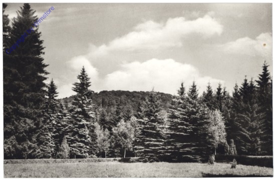 ak145861 Hollohaza, Ansicht