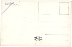 Lillafüred, Palota Szálló