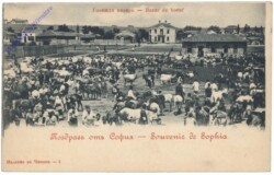 Sofia, Bazar de boeuf