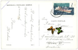 Constanta (Konstanz), Vedere din Mamaia