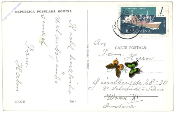 Constanta (Konstanz), Vedere din Mamaia