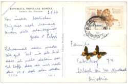 Constanta (Konstanz), Vedere din Mamaia