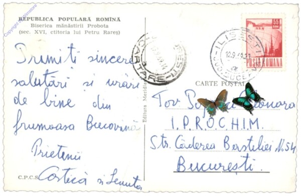 ak146435a Dolhasca, Biserica manastirii Probota