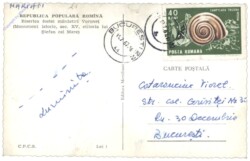 ak146454a Gura Humrului, Ansicht