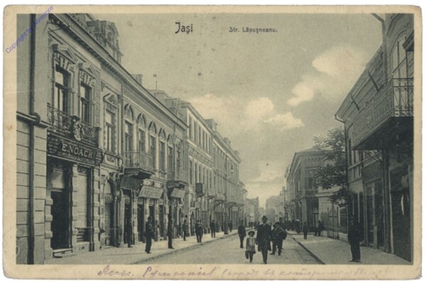 Iasi, Str. Lapusneanu