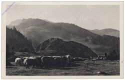 Miercurea Ciuc, Ansicht
