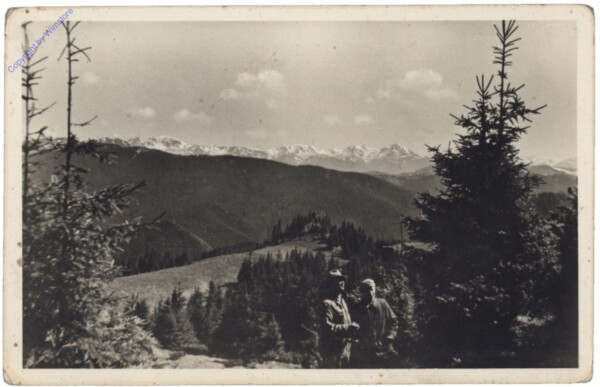 ak146526 Rodna-Gebirge, Ansicht